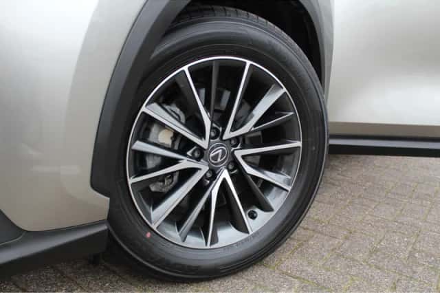Lexus NX (2025) thumbnail 7