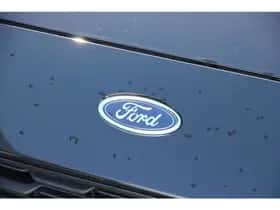 Ford Focus (2021) thumbnail 13