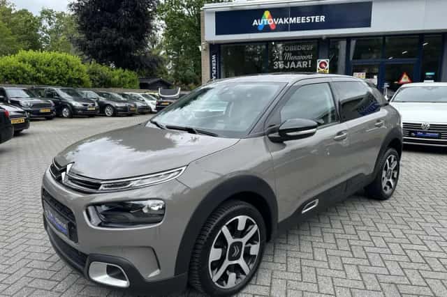 Citroën C4 Cactus (2019) thumbnail 2