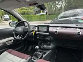 Citroën C4 Cactus (2019) thumbnail 11