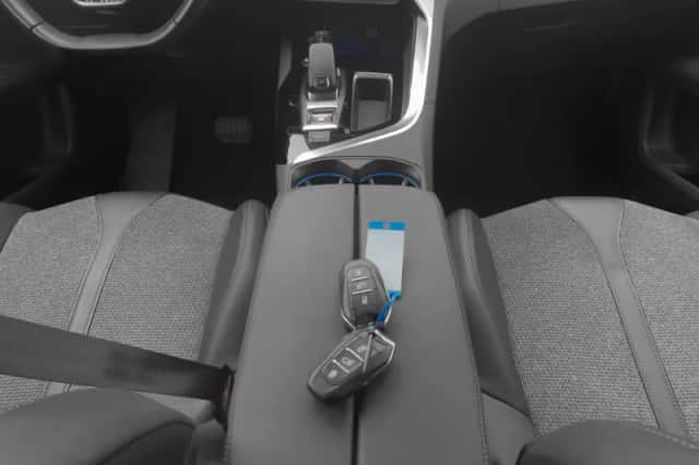 Peugeot 3008 (2020) thumbnail 12
