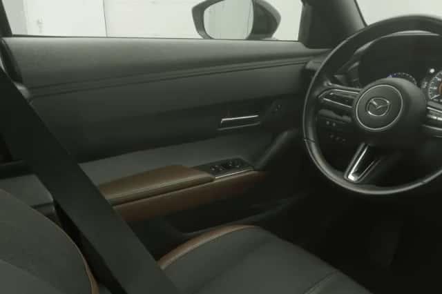 Mazda MX-30 (2020) thumbnail 12