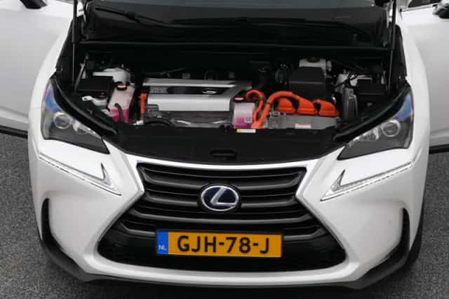 Lexus NX (2016) thumbnail 31