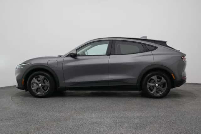 Ford Mustang (2021) thumbnail 14