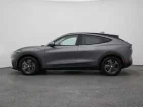 Ford Mustang (2021) thumbnail 14