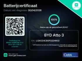 BYD Atto (2024) thumbnail 4