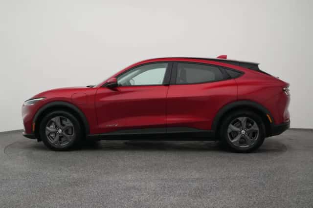 Ford Mustang (2021) thumbnail 14