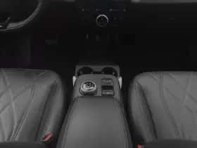 Ford Mustang (2021) thumbnail 13