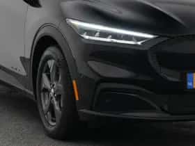 Ford Mustang (2021) thumbnail 18