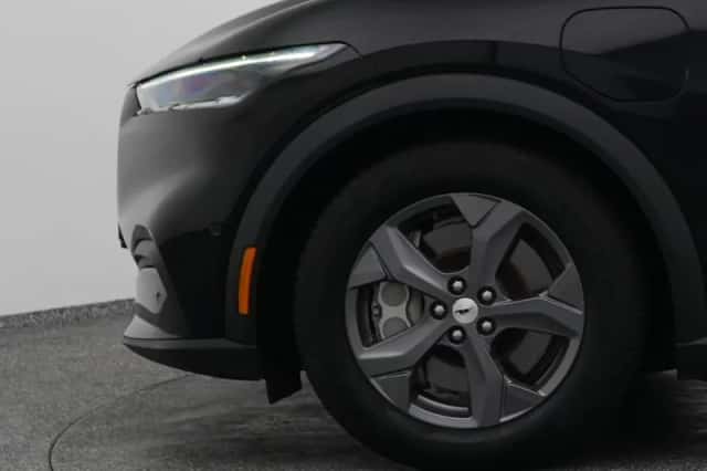 Ford Mustang (2021) thumbnail 22