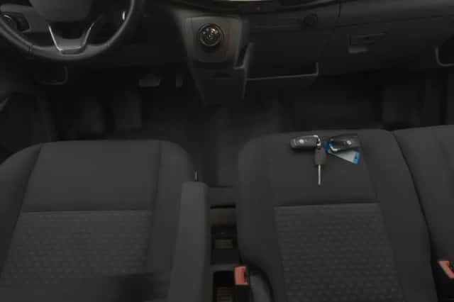 Ford E-Transit (2023) thumbnail 13