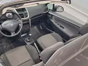 Peugeot 207 (2009) thumbnail 13