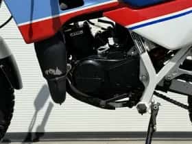 Honda MTX (2026) thumbnail 16