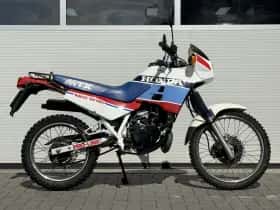 Honda MTX (2026) thumbnail 4