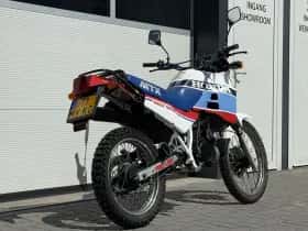Honda MTX (2026) thumbnail 5