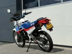 Honda MTX (2026) thumbnail 6
