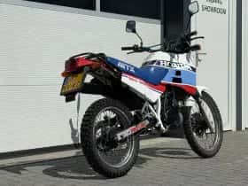 Honda MTX (2026) thumbnail 7