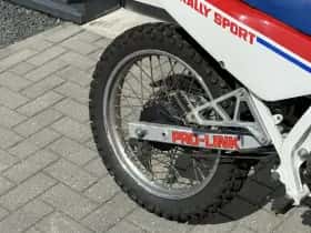 Honda MTX (2026) thumbnail 9