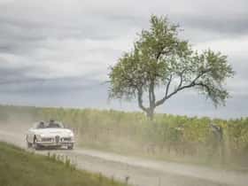 Alfa Romeo Giulia (1965) thumbnail 15