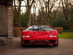 Lamborghini Countach (1982) thumbnail 14
