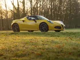 Alfa Romeo 4C (2017) thumbnail 16