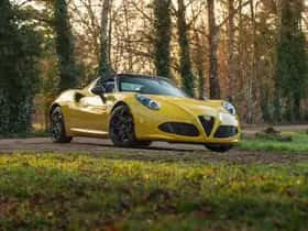 Alfa Romeo 4C (2017) thumbnail 17