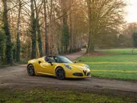Alfa Romeo 4C (2017) thumbnail 18