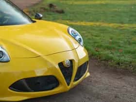 Alfa Romeo 4C (2017) thumbnail 19