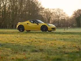 Alfa Romeo 4C (2017) thumbnail 23