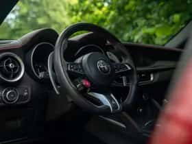 Alfa Romeo Stelvio (2021) thumbnail 34