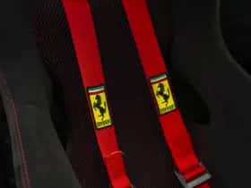 Ferrari F thumbnail 43