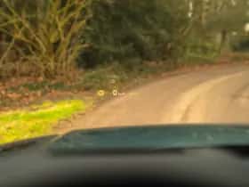 Land Rover Range Rover Sport (2023) thumbnail 29