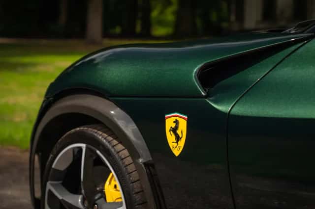 Ferrari Purosangue (2025) thumbnail 33