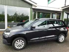 Škoda Karoq (2021) thumbnail 61