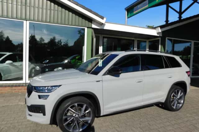 Škoda Kodiaq (2023) thumbnail 1