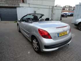 Peugeot 207 (2008) thumbnail 6