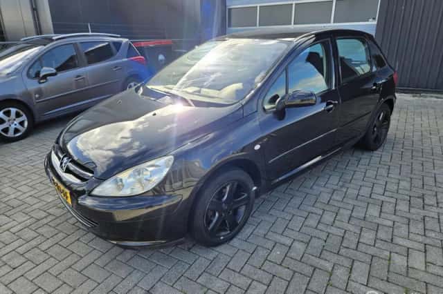 Peugeot 307 (2005) thumbnail 1