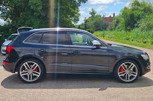 Audi SQ5 (2013) thumbnail 6