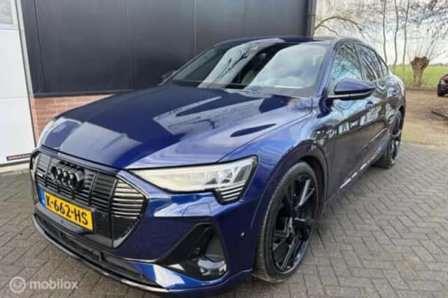 Audi e-tron (2020) thumbnail 3