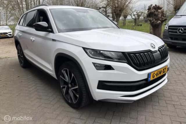 Škoda Kodiaq (2020) thumbnail 3