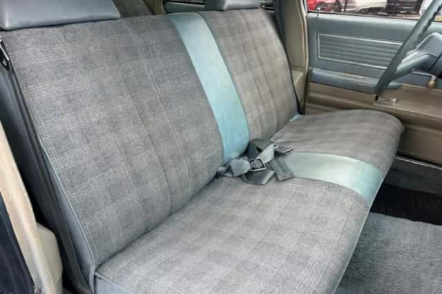Chevrolet Malibu Classic (1979) thumbnail 11
