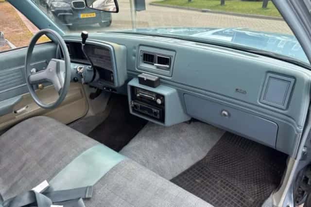 Chevrolet Malibu Classic (1979) thumbnail 9
