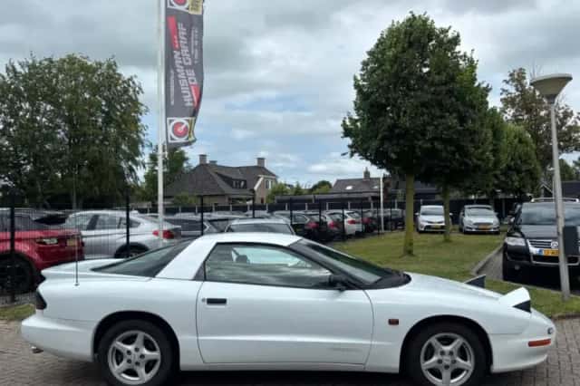 Pontiac Firebird (1994) thumbnail 4