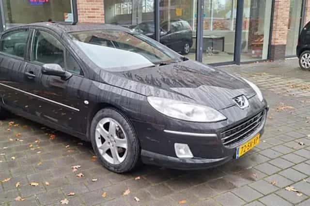 Peugeot 407 (2006) thumbnail 2