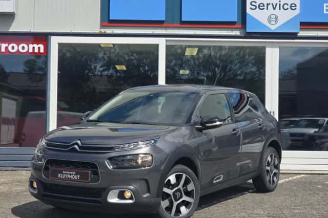 Citroën C4 Cactus (2018) thumbnail 2