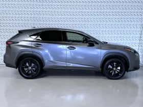 Lexus NX (2017) thumbnail 11