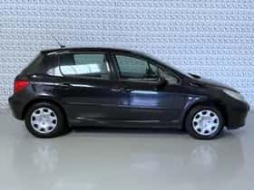 Peugeot 307 (2006) thumbnail 11