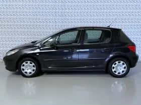 Peugeot 307 (2006) thumbnail 6