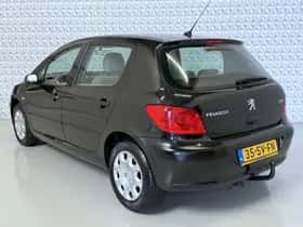 Peugeot 307 (2006) thumbnail 7