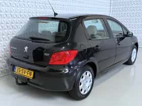 Peugeot 307 (2006) thumbnail 9